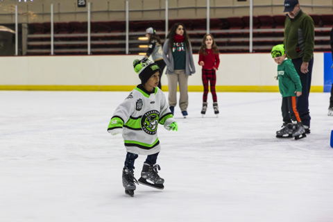 Public Skating
